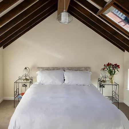 Cosy In